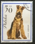 Stamps Poland -  Airedale Terrier