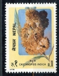 Stamps Nepal -  varios