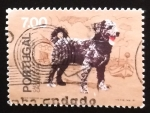 Stamps Portugal -  Cao de aguas
