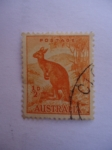 Sellos de Oceania - Australia -  Canguro 