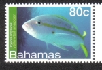 Stamps : America : Bahamas :  Bahamas Vida Marina