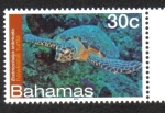 Stamps : America : Bahamas :  Bahamas Vida Marina