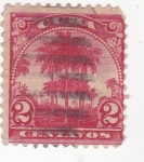 Stamps Cuba -  palmeras
