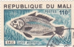 Stamps : Africa : Mali :  pez lates niloticus