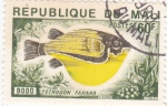 Stamps : Africa : Mali :  pez tetrodon fahaka