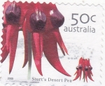 Sellos de Oceania - Australia -  sturt´s Desert Pea