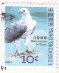 Sellos de Asia - Hong Kong -  ave