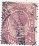 Stamps South Africa -  rey George V