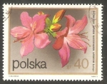 Stamps Poland -  2058 - Flor rhododendron japonicum