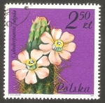 Stamps : Europe : Poland :  2602 - Flor de cactus,cylindropuntia fulgida