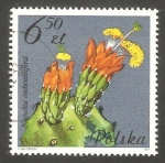 Stamps Poland -  2604 - Flor de cactus, napalea cochenillifera