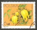 Stamps Poland -  2719 - Flor clematis tangutica