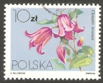 Stamps Poland -  2720 - Flor clematis textensis