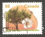 Stamps Canada -  1358 - Árbol frutal de Canadá