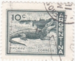 Stamps Argentina -  yacaré