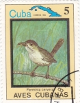 Sellos de America - Cuba -  aves cubanas