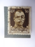 Stamps Italy -  Victorio Emannele III de Italia (1869-1945)