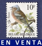 Stamps : Europe : Belgium :  BÉLGICA Pinson 10