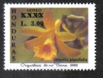 Stamps Honduras -  Orquídeas de Mi Tierra