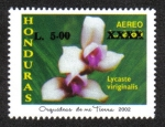 Stamps Honduras -  Orquídeas de Mi Tierra