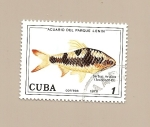 Stamps : America : Cuba :  PECES  - Acuario del Parque Lenin  -  Barbus Arulius