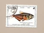 Stamps : America : Cuba :  PECES - Acuario del Parque Lenin  - Hiphessobrycon Flammeus
