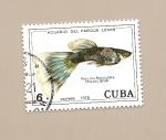 Stamps Cuba -  PECES - Acuario del Parque Lenin - Guppy(Poecilia Reticulata)