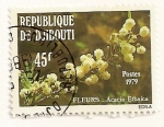 Stamps Africa - Djibouti -  Flor. Acacia Etbaica