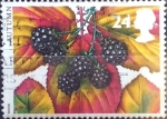 Stamps United Kingdom -  Intercambio 0,55 usd 24 p. 1993