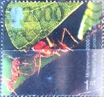 Stamps United Kingdom -  Intercambio nf4b 0,80 usd 26 p. 2000