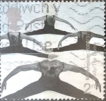 Stamps United Kingdom -  Intercambio nf4b 0,40 usd 19 p. 2000
