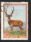 Sellos de Europa - Rusia -  Dappled Deer