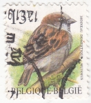 Stamps Belgium -  ave