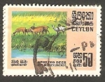 Stamps : Asia : Sri_Lanka :  415 - Axis axis