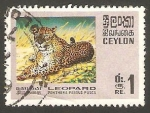Sellos de Asia - Sri Lanka -  Leopardo