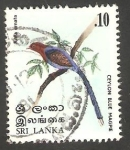 Stamps Sri Lanka -  Ave de Sri Lanka