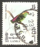 Stamps Sri Lanka -  Ave de Sri Lanka