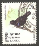 Stamps : Asia : Sri_Lanka :  Ave de Sri Lanka