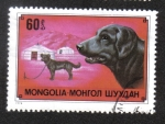 Stamps : Asia : Mongolia :  Mongol hausdog