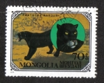Sellos de Asia - Mongolia -  Gatos Salvajes