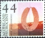 Stamps Netherlands -  Intercambio 0,25 usd 44 cent. 2006