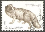Sellos de Europa - Rusia -  4707 - Fauna animal