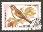 Stamps Russia -  4840 - Pájao cantor, emberiza jaukowski