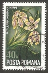Sellos de Europa - Rumania -  Flor fritillaria montana hoppe