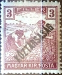 Stamps : Europe : Hungary :  Intercambio 0,20 usd 3 f. 1918