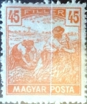 Stamps : Europe : Hungary :  Intercambio 0,20 usd 45 f. 1919
