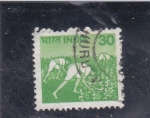 Stamps India -  recolectores