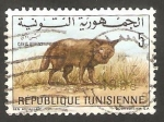Stamps Tunisia -  655 - Chacal