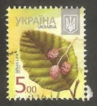 Stamps Ukraine -  1056 - Flor almus incana