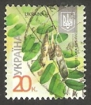 Sellos de Europa - Ucrania -  Flor acacia